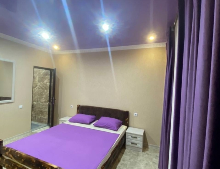 Стандарт 2-местный 1-комнатный - Отель «Кинг» Цандрипш